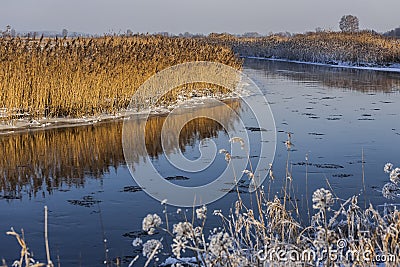 Autumn colored river. Stock Photo