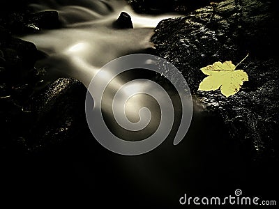 Autumn colorful leaf. Castaway on wet slipper stone in stream Stock Photo