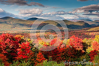 Autumn Colors Stock Photo