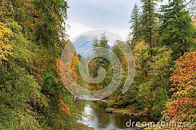 Autumn Colors on McKenzie Pass-Santiam Pass Scenic Byway Stock Photo