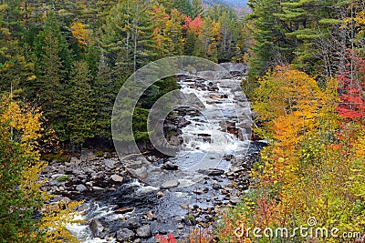 Autumn colors - fall leaves in the Adirondacks, New York Stock Photo