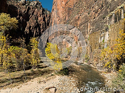 The canyon narrows along the Virgin River in Zion Stock Photo