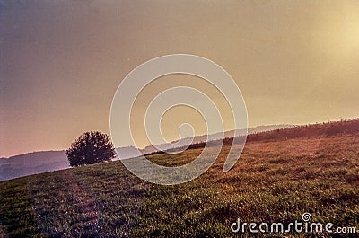 Autumn colors and lonely tree in the Swiss fields and countryside with analogue photography - 2 Stock Photo