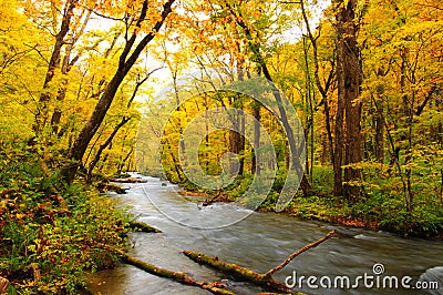 Autumn Colors of Oirase River Stock Photo