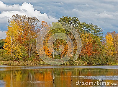 Fall colors orange, yellow and red in trees at pond edge with reflections in water Stock Photo