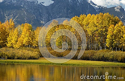 Autumn colors in Wyoming Stock Photo