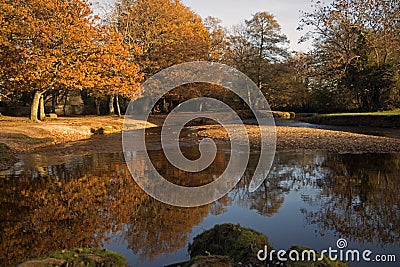 Autumn Colours Brockenhurst Stock Photo