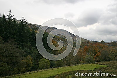 Autumn colours leaving Seathwaite Fell Stock Photo