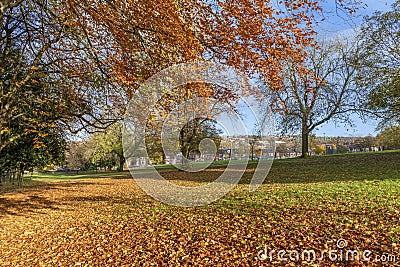 Autumn Colours at Meersbrook Park Stock Photo