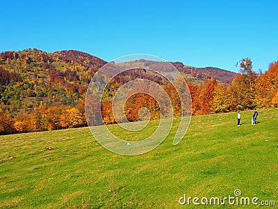 Autumn colours in Romania Editorial Stock Photo