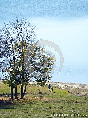 Autumn colours in Romania Editorial Stock Photo