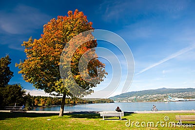Autumn Colours - Stanley Park, Vancouver Editorial Stock Photo