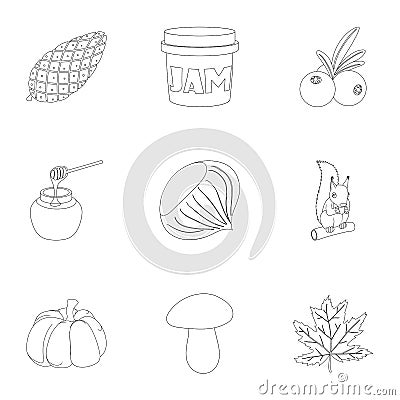 Autumn coming icons set, outline style Vector Illustration