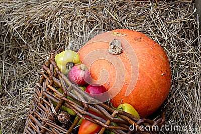 Autumn composition of apples, straw and pumpkin. Stock Photo