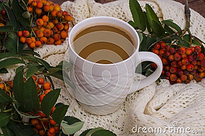 Autumn composition: coffee mug with rowan berries Stock Photo