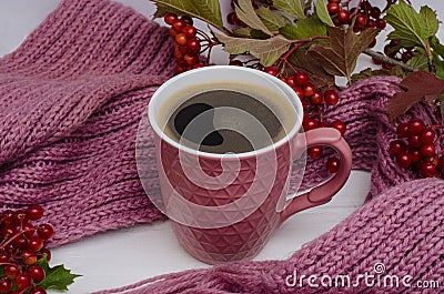 Autumn composition: coffee mug with viburnum branches Stock Photo