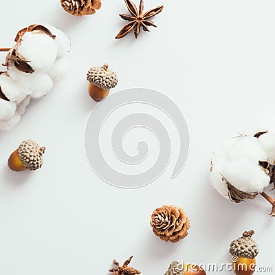Autumn composition. Cotton, pine cones,, acorns on white background. Autumn, fall, thanksgiving day concept. Flat lay, top view, Stock Photo