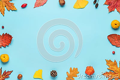 Autumn composition. Dried leaves, flowers, nuts, berries on blue background. Autumn, fall, halloween, thanksgiving day Stock Photo