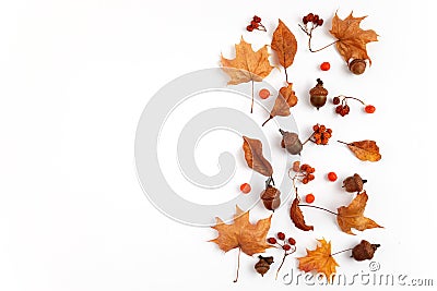 Autumn composition. Dried leaves on white background. Top view. Flat lay. Stock Photo