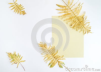 Autumn composition of fern leaves and a white sheet of paper for text. beginning of the school yearFlat lay, top view, copy space Stock Photo