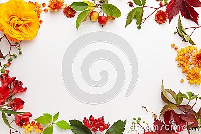 Autumn composition with flowers, leaves and berries on white background. Flat lay, copy space Stock Photo