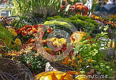 A variety of autumn flowers in ceramic pots and vegetables in baskets stand on a shelf covered with burlap and straw. Stock Photo