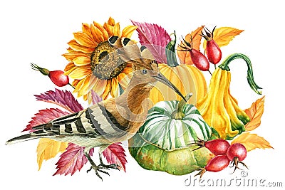 Autumn composition of leaves, pumpkin, sunflower, rosehip and Upupa epops, watercolor drawings. Cartoon Illustration