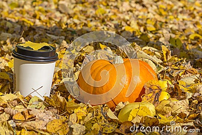 Autumn composition. A paper cup of coffee and pumpkin among fall leaves. Fall picnic consept Stock Photo