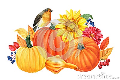 Autumn composition, pumpkins, flowers, sunflowers, dahlia, yellow leaves, berries, birds, white background, watercolor Cartoon Illustration