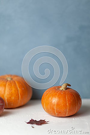 Autumn composition. Pumpkins. Harvest Stock Photo