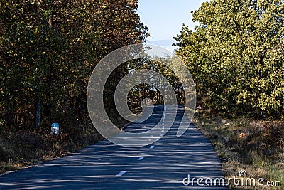 Autumn concept. Autumn composition. Autumn empty road in forest Stock Photo