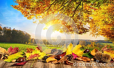 Autumn concept with leaves and landscape Stock Photo