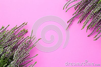 Autumn Concept With Pink Heather Flowers Stock Photo