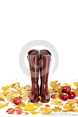 Autumn concept. Rubber boots color Marsala. Autumn leaves and ap Stock Photo