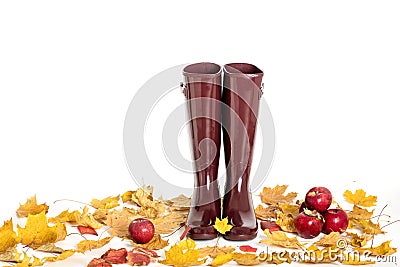 Autumn concept. Rubber boots color Marsala. Autumn leaves and ap Stock Photo