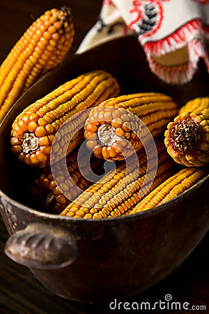 Autumn corn Stock Photo