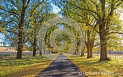 Autumn country road Stock Photo