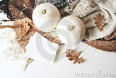 Autumn cozy composition. Blank card mockup scene. White pumpkins, dry oak leaves, Christmas lights and wool plaid on Stock Photo