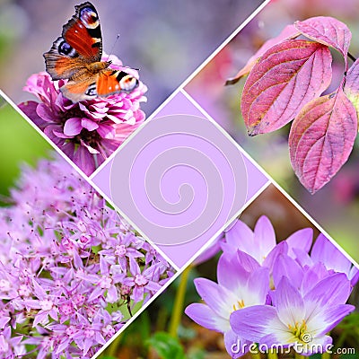 Autumn creative collage of photos. Autumn concept with a central main color Stock Photo
