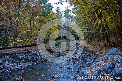 Autumn Creek in Whetstone Gulf State Park Stock Photo