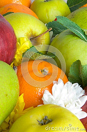 Autumn crop. Fruit Stock Photo