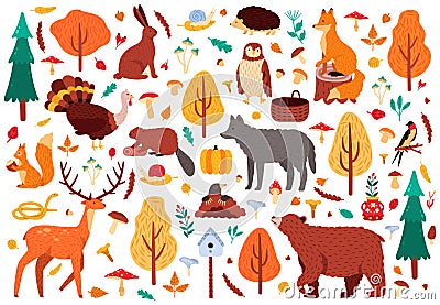 Autumn cute animals. Wild hand drawn bear raccoon fox and deer characters, woodland birds and animals isolated vector Vector Illustration