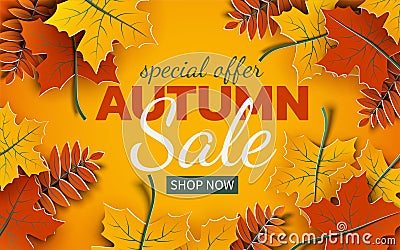 Autumn 3d sale banner, paper colorful tree leaves on yellow background. Autumnal design for fall season sale banner Vector Illustration