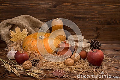 Autumn dark Thanksgiving still life with pumpkins, red apple, ga Stock Photo