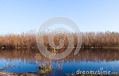 Autumn day in Arkhangelsk. Island Krasnoflotsky. the reflection in the water Stock Photo