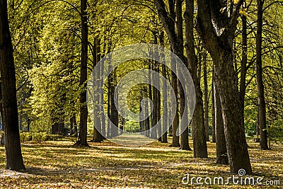 Autumn Day in Park Saski in Warsaw, Poland Stock Photo