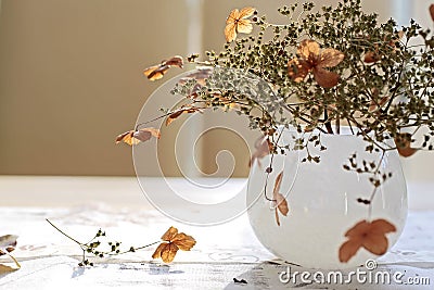 Autumn Decoration Stock Photo