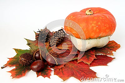 Autumn decoration Stock Photo