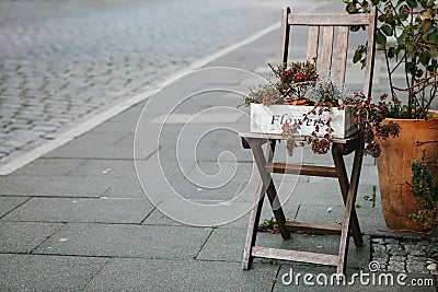 Autumn decoration with a chair and flowers on the street. Stock Photo