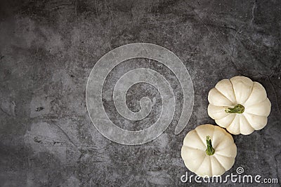 Autumn . Decorative pumpkin Baby Boo on dark background.top view Stock Photo